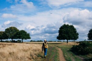 A lone hiker walks through a rural landscape under a blue sky, embracing nature's tranquility.